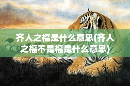 齐人之福是什么意思(齐人之福不是福是什么意思)