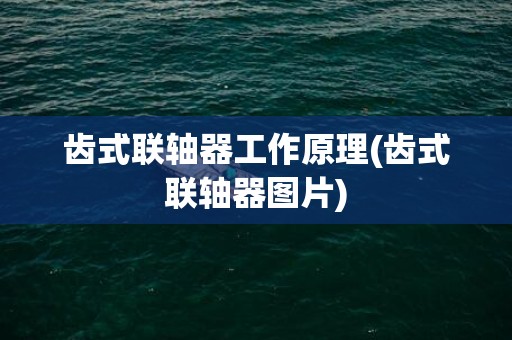 齿式联轴器工作原理(齿式联轴器图片)
