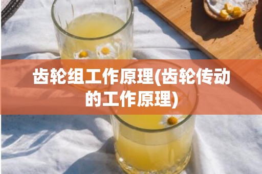 齿轮组工作原理(齿轮传动的工作原理)