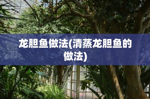 龙胆鱼做法(清蒸龙胆鱼的做法)