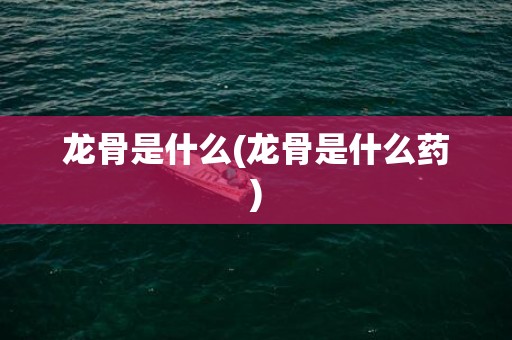 龙骨是什么(龙骨是什么药)