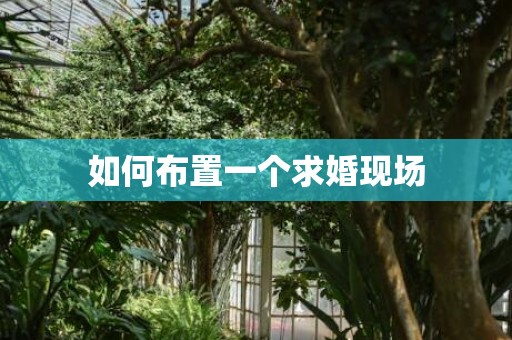 如何布置一个求婚现场