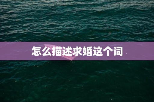 怎么描述求婚这个词