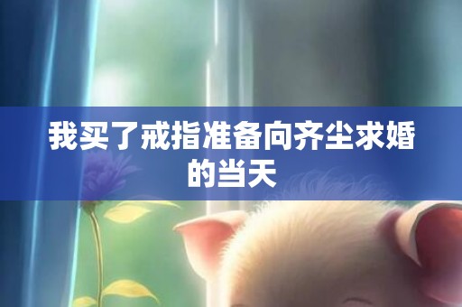 我买了戒指准备向齐尘求婚的当天