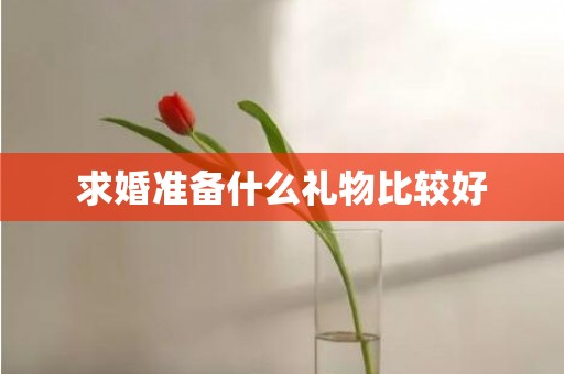 求婚准备什么礼物比较好