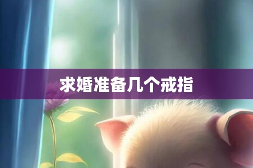 求婚准备几个戒指