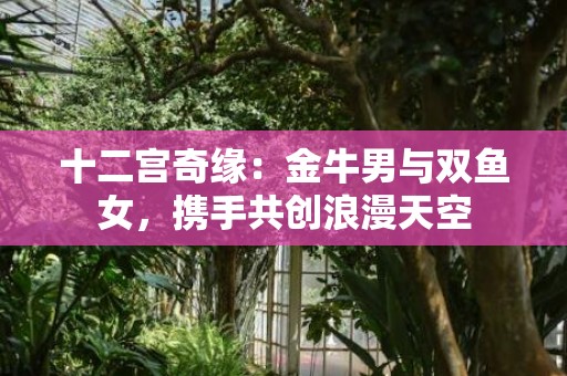 十二宫奇缘：金牛男与双鱼女，携手共创浪漫天空