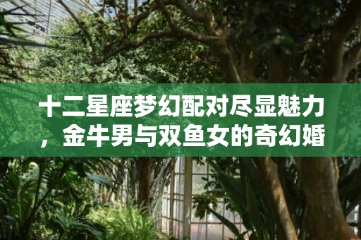 十二星座梦幻配对尽显魅力，金牛男与双鱼女的奇幻婚姻故事