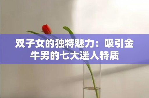 双子女的独特魅力：吸引金牛男的七大迷人特质