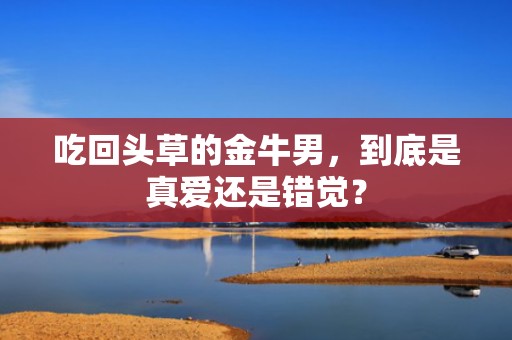吃回头草的金牛男，到底是真爱还是错觉？