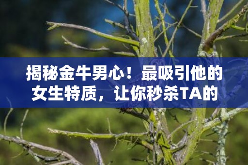 揭秘金牛男心！最吸引他的女生特质，让你秒杀TA的心