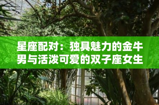 星座配对：独具魅力的金牛男与活泼可爱的双子座女生