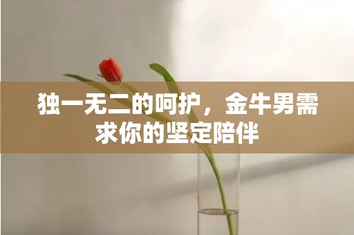 独一无二的呵护，金牛男需求你的坚定陪伴