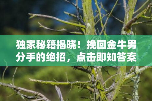 独家秘籍揭晓！挽回金牛男分手的绝招，点击即知答案！