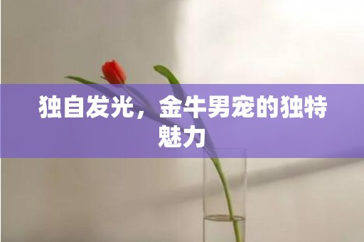 独自发光，金牛男宠的独特魅力