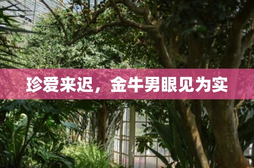 珍爱来迟，金牛男眼见为实