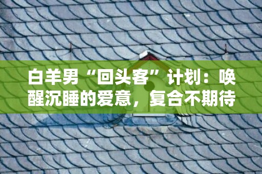 白羊男“回头客”计划：唤醒沉睡的爱意，复合不期待！