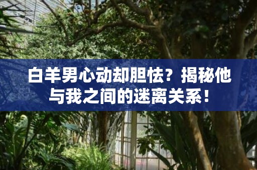白羊男心动却胆怯？揭秘他与我之间的迷离关系！