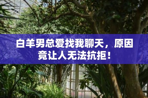 白羊男总爱找我聊天，原因竟让人无法抗拒！
