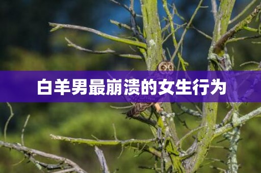 白羊男最崩溃的女生行为