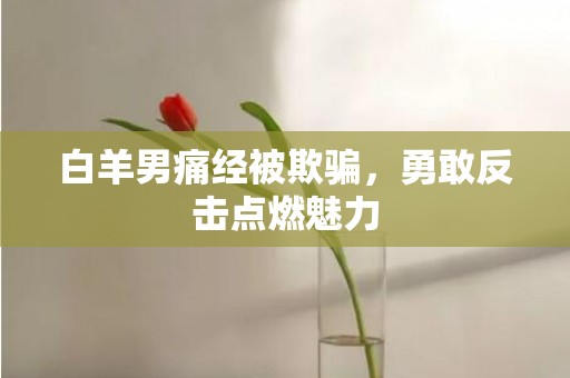 白羊男痛经被欺骗，勇敢反击点燃魅力