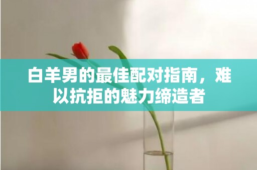 白羊男的最佳配对指南，难以抗拒的魅力缔造者