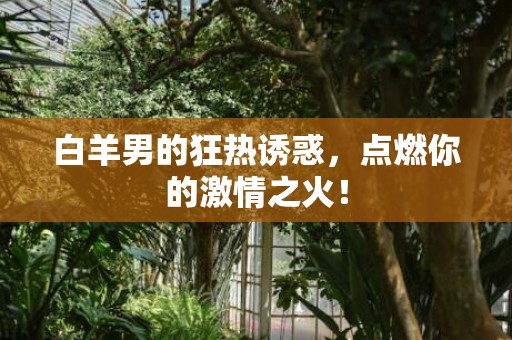 白羊男的狂热诱惑，点燃你的激情之火！