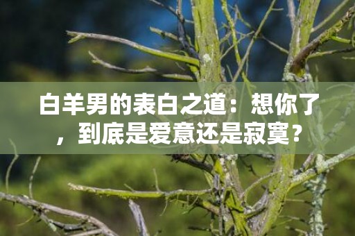 白羊男的表白之道：想你了，到底是爱意还是寂寞？