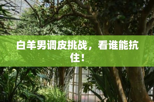白羊男调皮挑战，看谁能抗住！