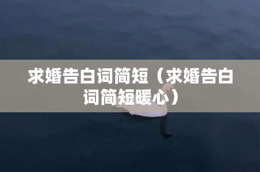 求婚告白词简短（求婚告白词简短暖心）