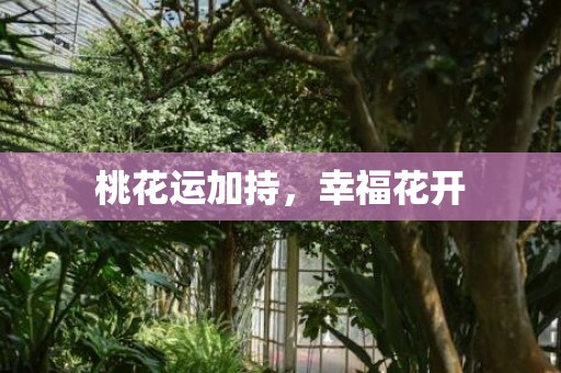 桃花运加持，幸福花开