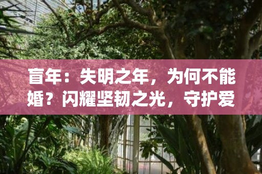 盲年：失明之年，为何不能婚？闪耀坚韧之光，守护爱情！(70 characters)