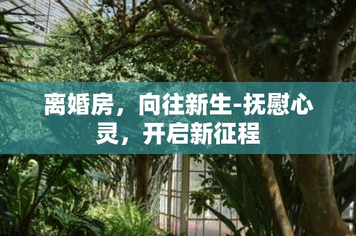 离婚房，向往新生-抚慰心灵，开启新征程