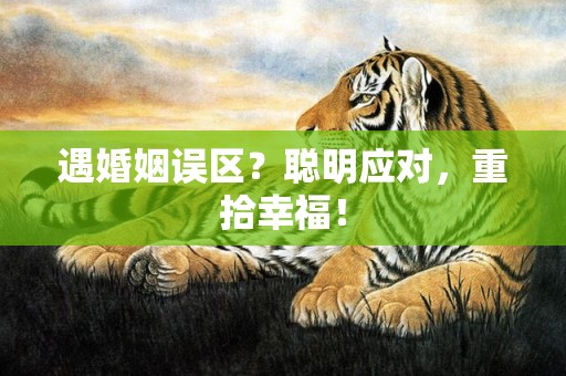 遇婚姻误区？聪明应对，重拾幸福！