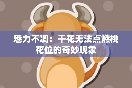 魅力不凋：干花无法点燃桃花位的奇妙现象