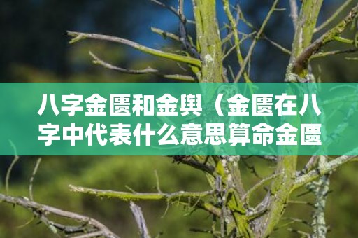 八字金匮和金舆（金匮在八字中代表什么意思算命金匮是什么意思）