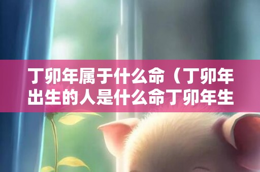 丁卯年属于什么命（丁卯年出生的人是什么命丁卯年生的人属什么）