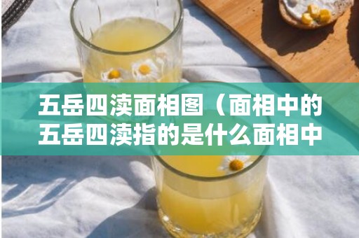 五岳四渎面相图（面相中的五岳四渎指的是什么面相中的五岳是什么意思）