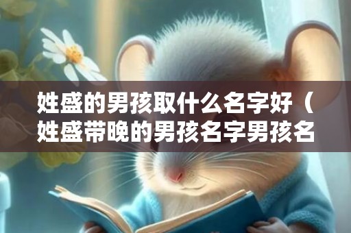 姓盛的男孩取什么名字好（姓盛带晚的男孩名字男孩名字带盛好吗）