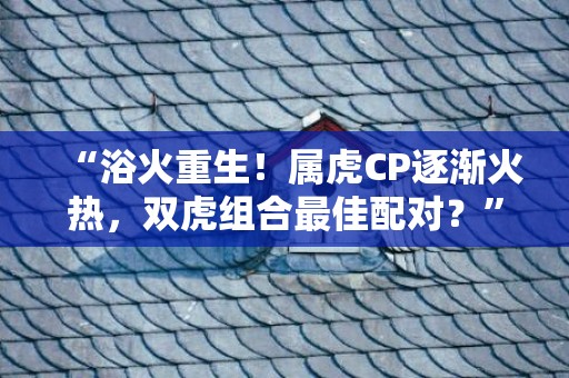 “浴火重生！属虎CP逐渐火热，双虎组合最佳配对？”