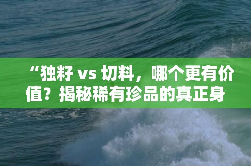 “独籽 vs 切料，哪个更有价值？揭秘稀有珍品的真正身价！”
