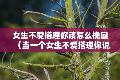 女生不爱搭理你该怎么挽回（当一个女生不爱搭理你说明什么问题）