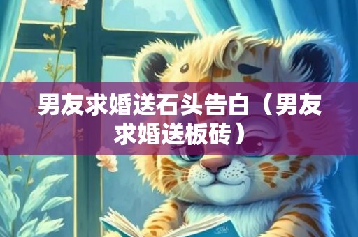 男友求婚送石头告白（男友求婚送板砖）