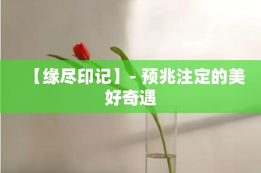 【缘尽印记】- 预兆注定的美好奇遇