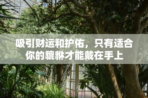 吸引财运和护佑，只有适合你的貔貅才能戴在手上