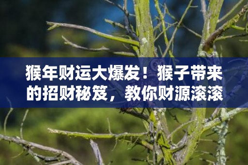 猴年财运大爆发！猴子带来的招财秘笈，教你财源滚滚！
