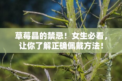 草莓晶的禁忌！女生必看，让你了解正确佩戴方法！