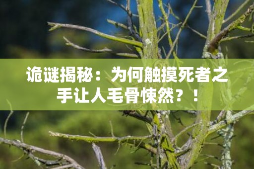 诡谜揭秘：为何触摸死者之手让人毛骨悚然？！