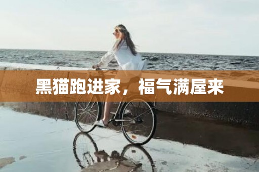 黑猫跑进家，福气满屋来