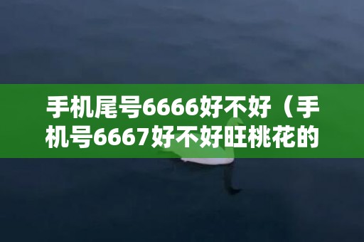 手机尾号6666好不好（手机号6667好不好旺桃花的手机尾号）